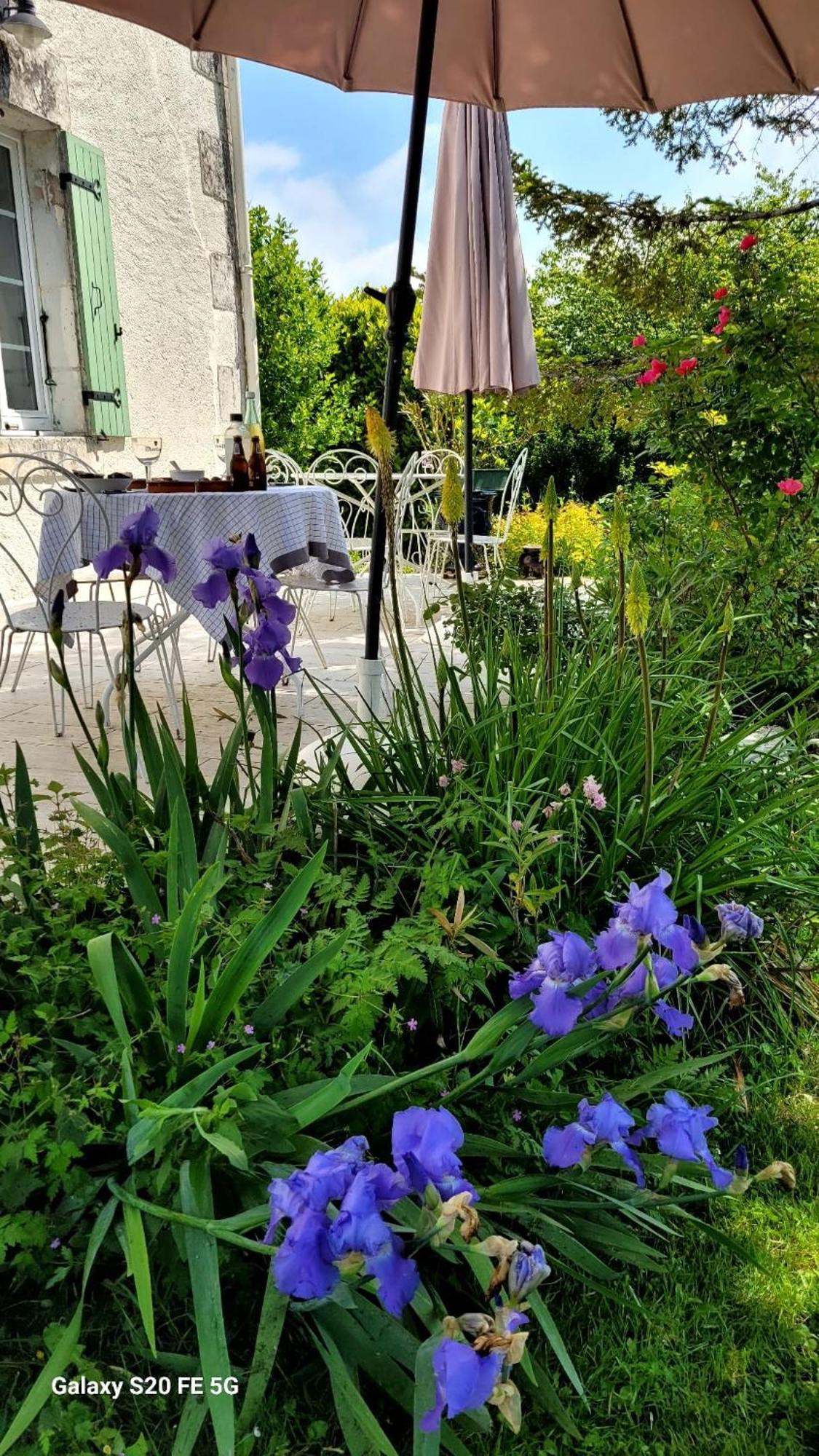 Appartement La Chevrière En Perigord à Villetoureix Extérieur photo